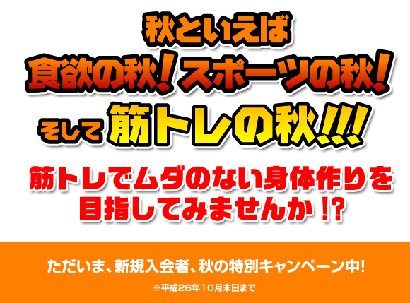 札幌市東区 ウェイトトレーニングジム「アイアンジム」　011-752-0808